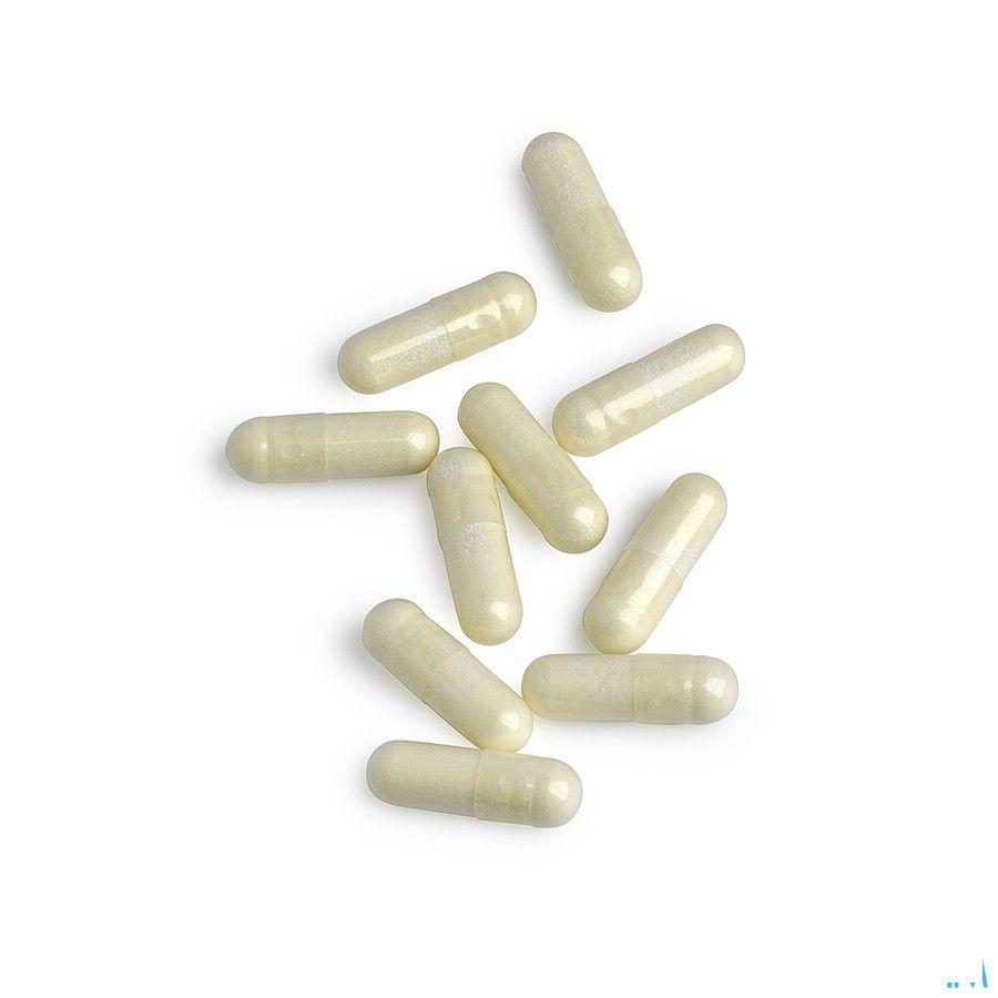Biotics Alpha Lipon Plus (Acide Alpha-Lipoïque) 90 gélules  -  Energetica Natura