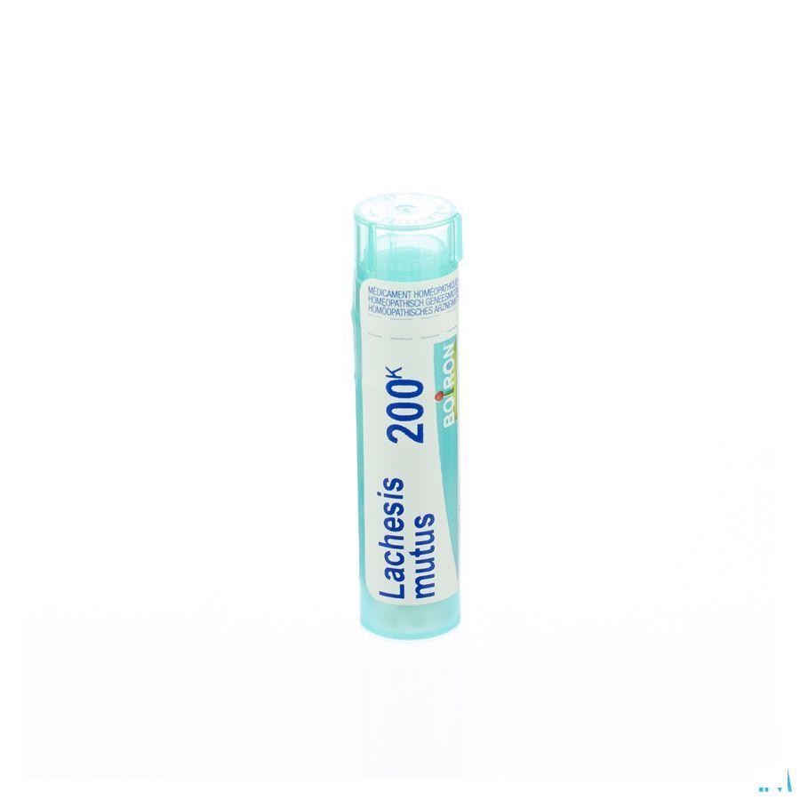 Lachesis Mutus 200K Gr 4g  -  Boiron