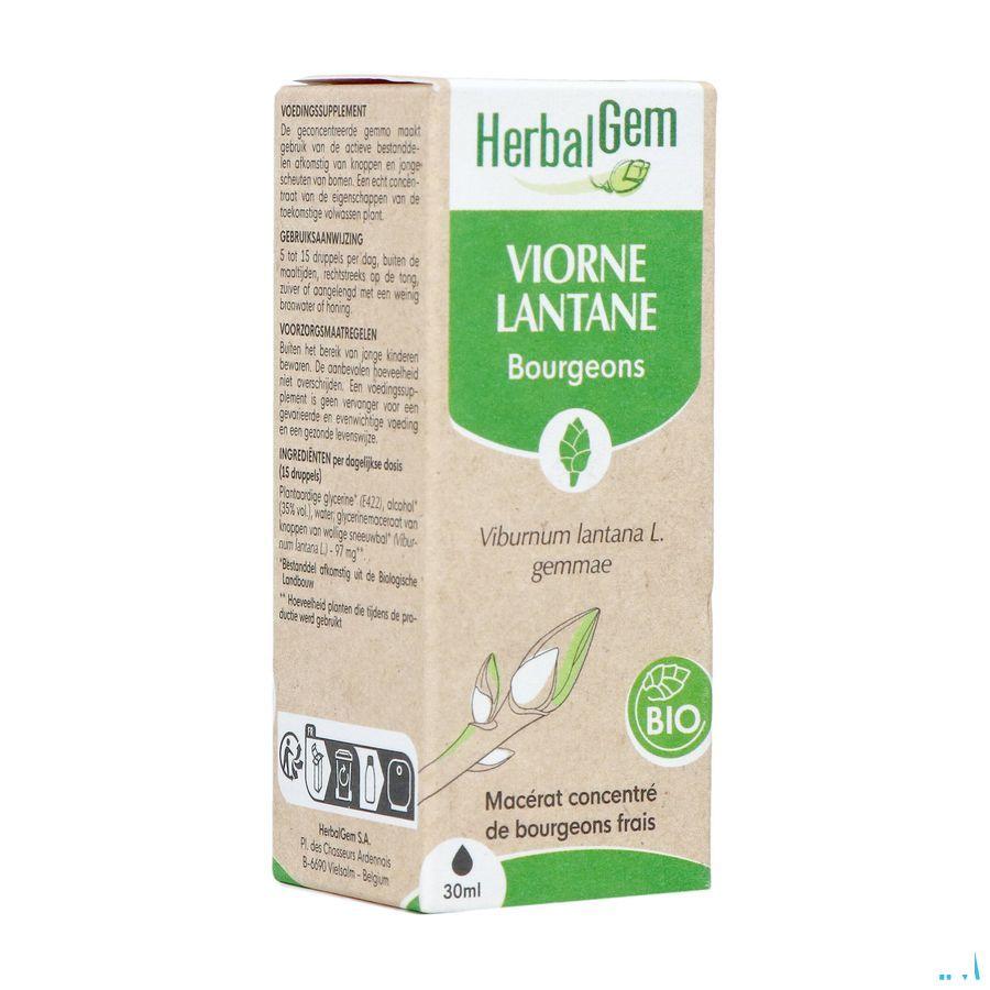 Herbalgem Viorne Bio 30 ml
