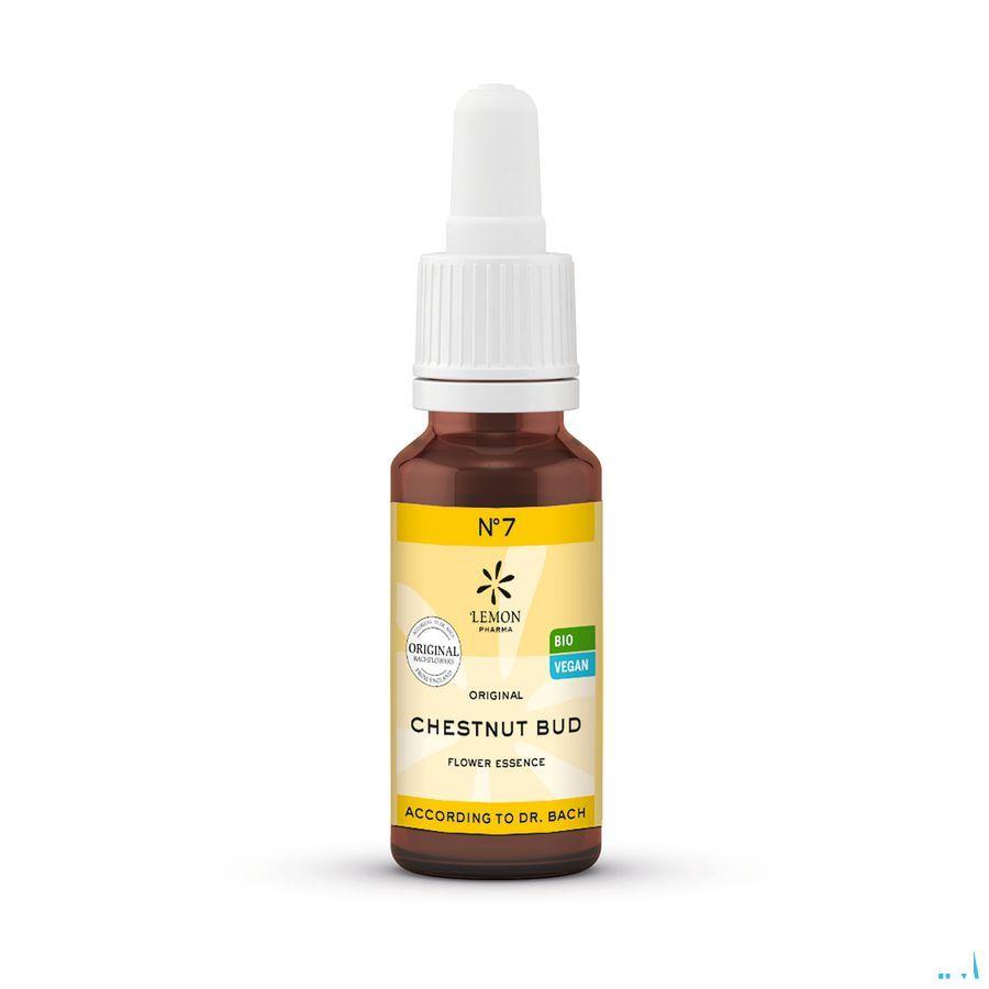 Bachbloesem Bio Nr 07 Chestnut Bud 20 ml  -  Eureka Pharma