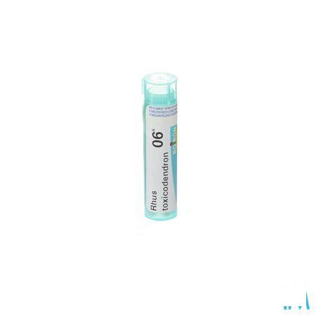 Rhus Toxicodendron 6k Gr 4g  -  Boiron