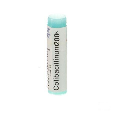 Colibacillinum 200K Gl  -  Boiron