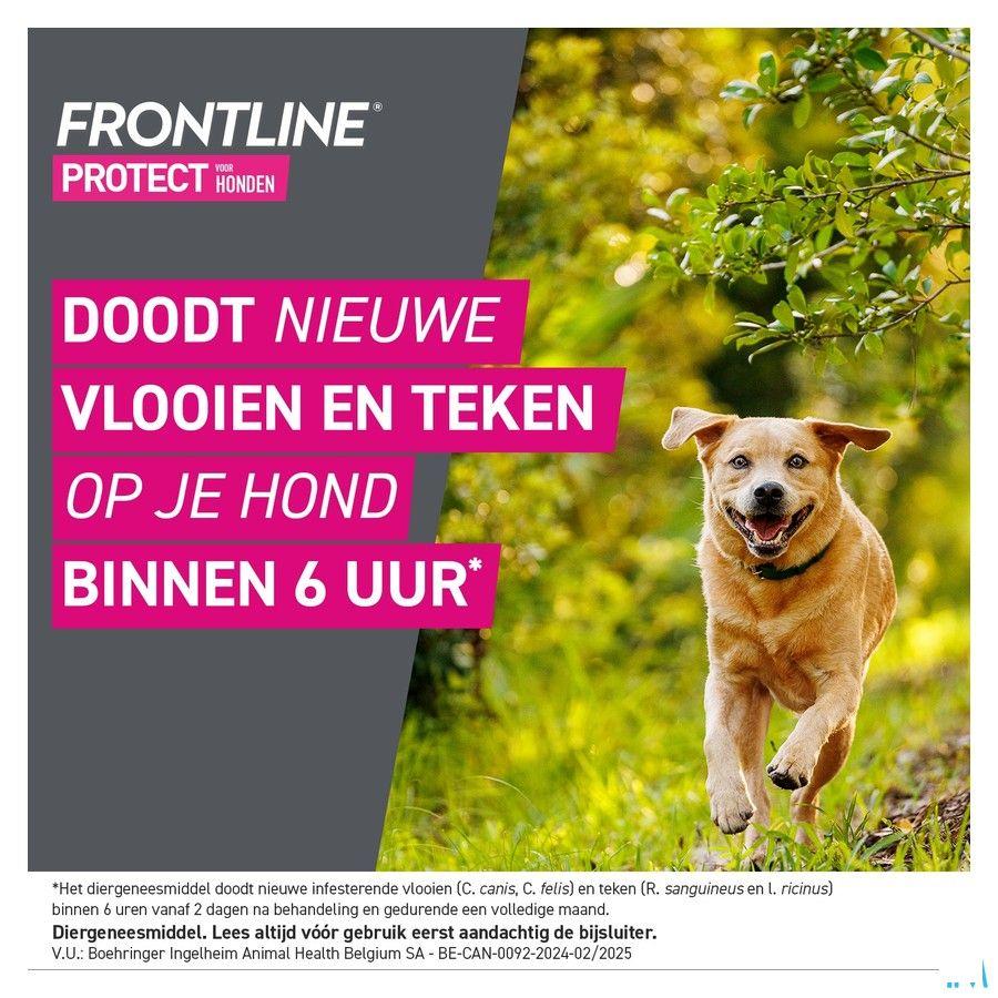 Frontline Protect Spot On Sol Chien 20-40Kg Pipet3