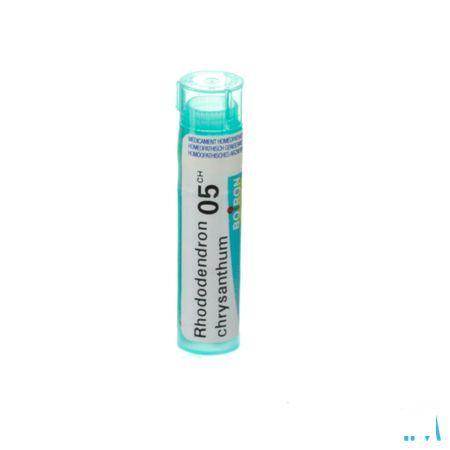 Rhododendron Chrysanthum 5CH Gr 4g  -  Boiron