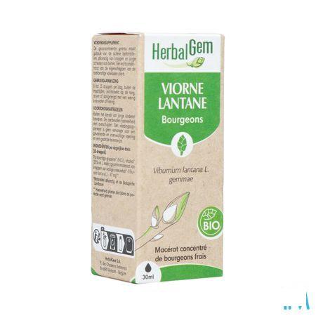 Herbalgem Viorne Bio 30 ml