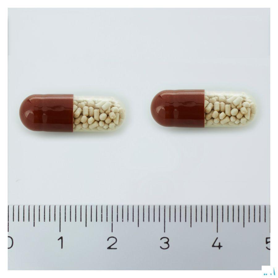 Creon 10000 Capsule Gastroresist 100 X 150 mg 