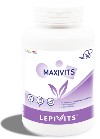 Lepivits Maxivits Pot Caps 90  -  Lepivits