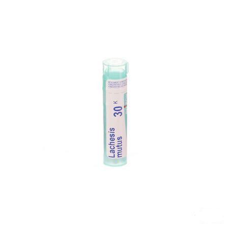 Lachesis Mutus 30K Gr 4g  -  Boiron