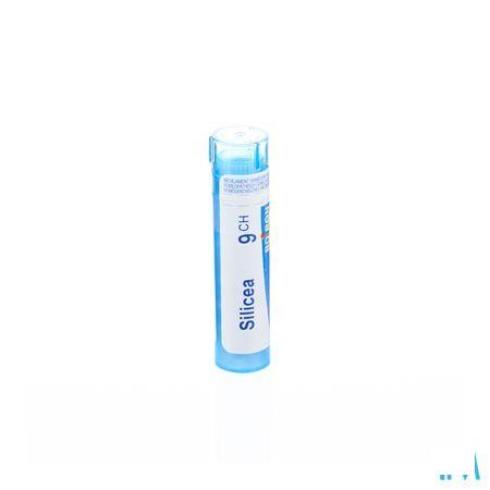 Silicea 9CH Gr 4g  -  Boiron