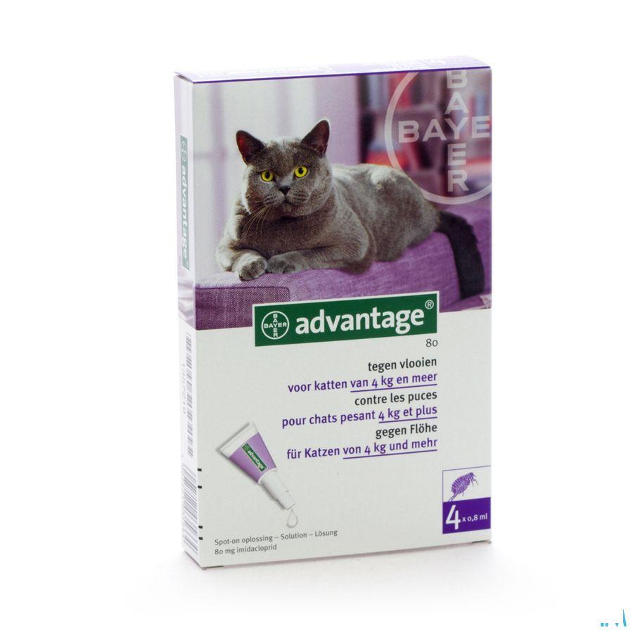 Advantage 80 Katten >4kg 4x0,8ml