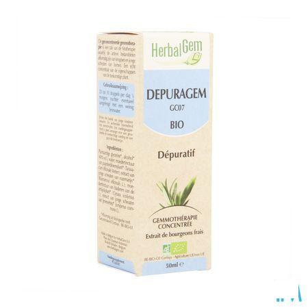 Herbalgem Depuragem Complex 50 ml  -  Herbalgem