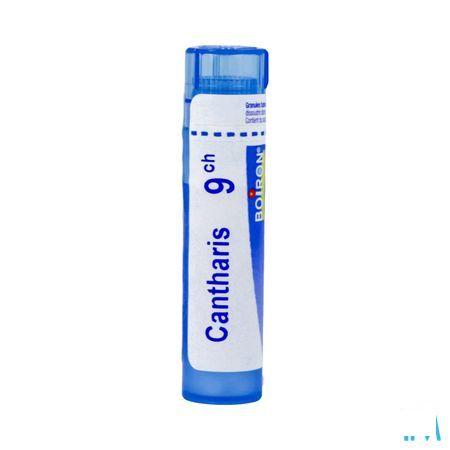 Cantharis 9CH Gr 4g  -  Boiron