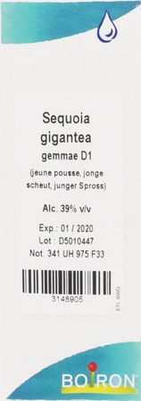 Sequoia Gigantea Gemmo D1 60 ml  -  Boiron