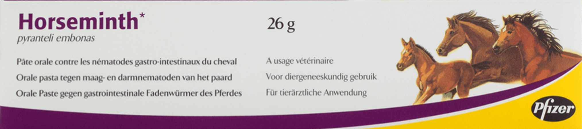 Horseminth Pasta Spuit 1x26g