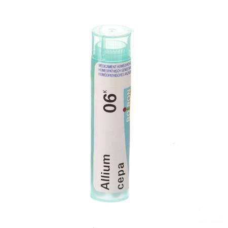 Allium Cepa 6k Gr 4g  -  Boiron