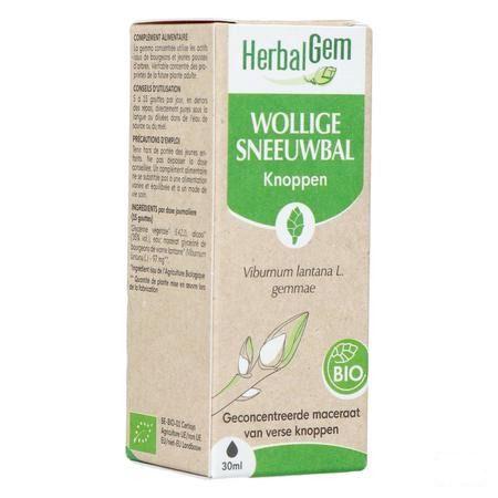 Herbalgem Viorne Bio 30 ml
