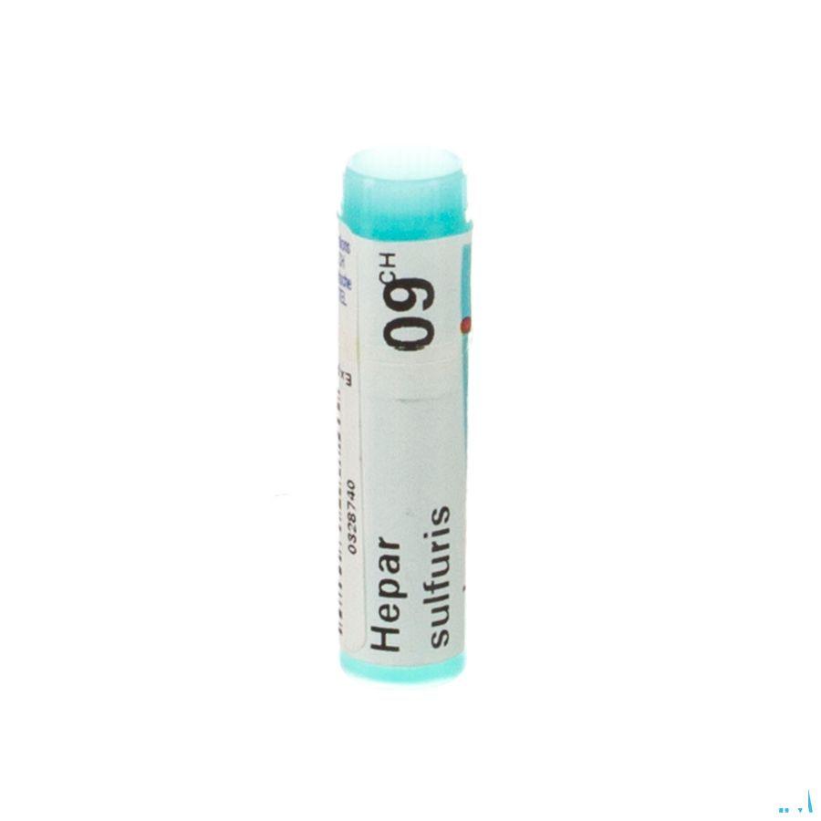 Hepar Sulfuris Calcareum 9CH Gl  -  Boiron