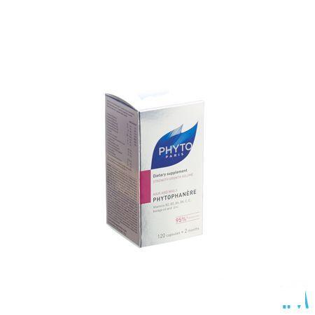 Phytophanere Chev Anti chute + Zinc Capsule 120 