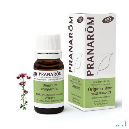 Oregano Inflor. Bio Essentiele Olie 10 ml  -  Pranarom