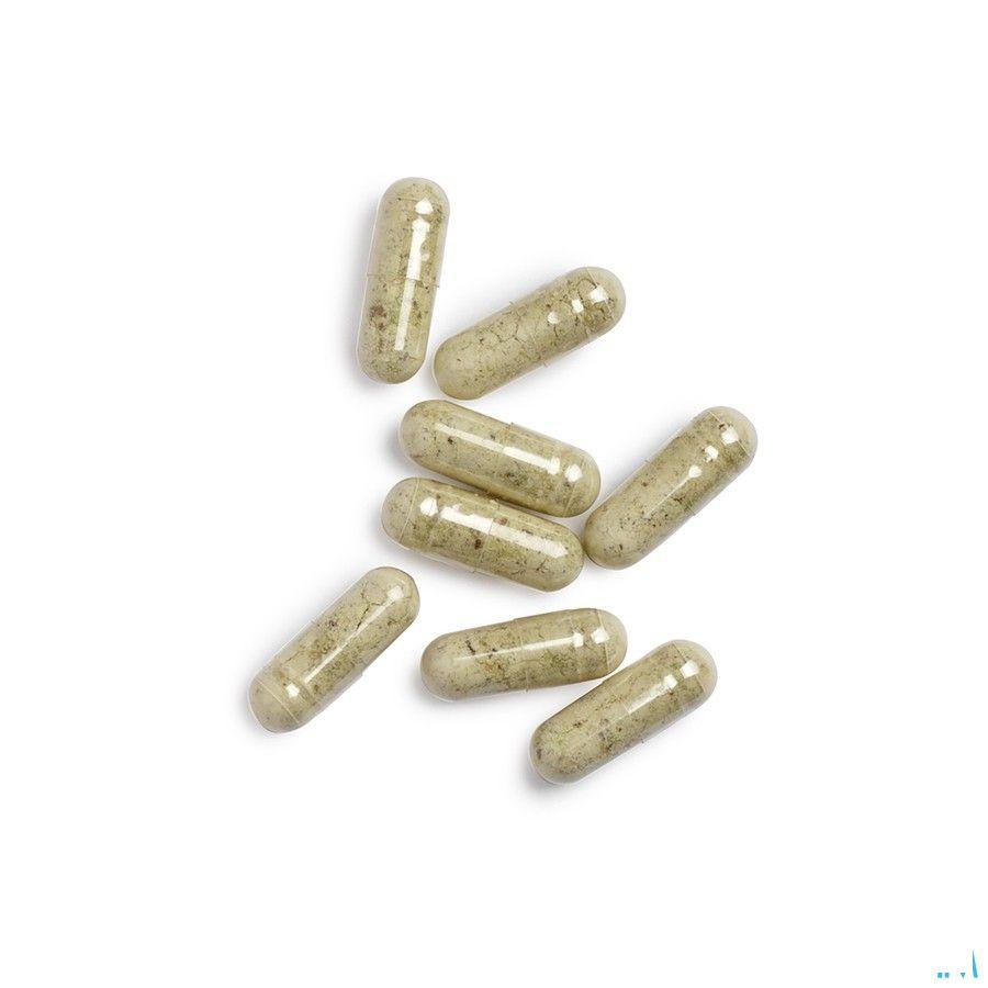 Biotics GTA 90 capsules  -  Energetica Natura