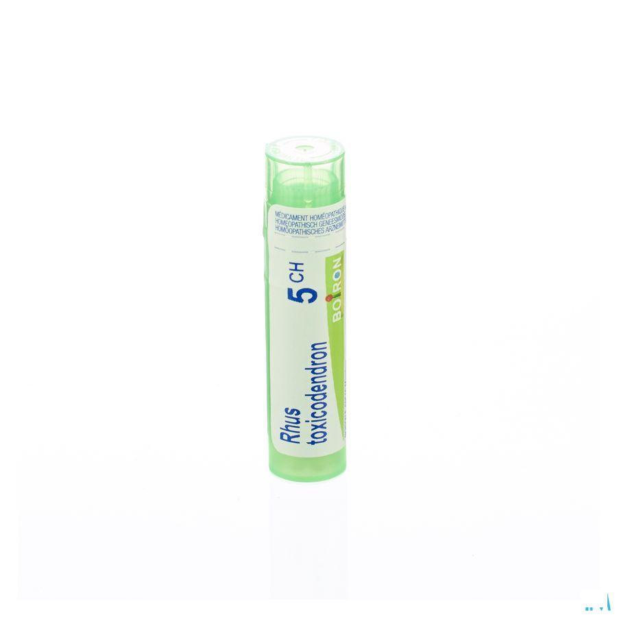 Rhus Toxicodendron 5CH Gr 4g  -  Boiron