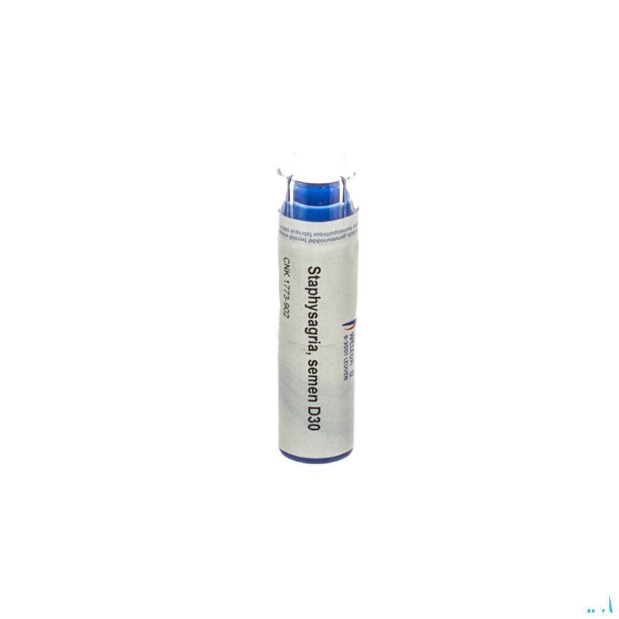 Staphysagria Semen D30 Gr 4g  -  Weleda