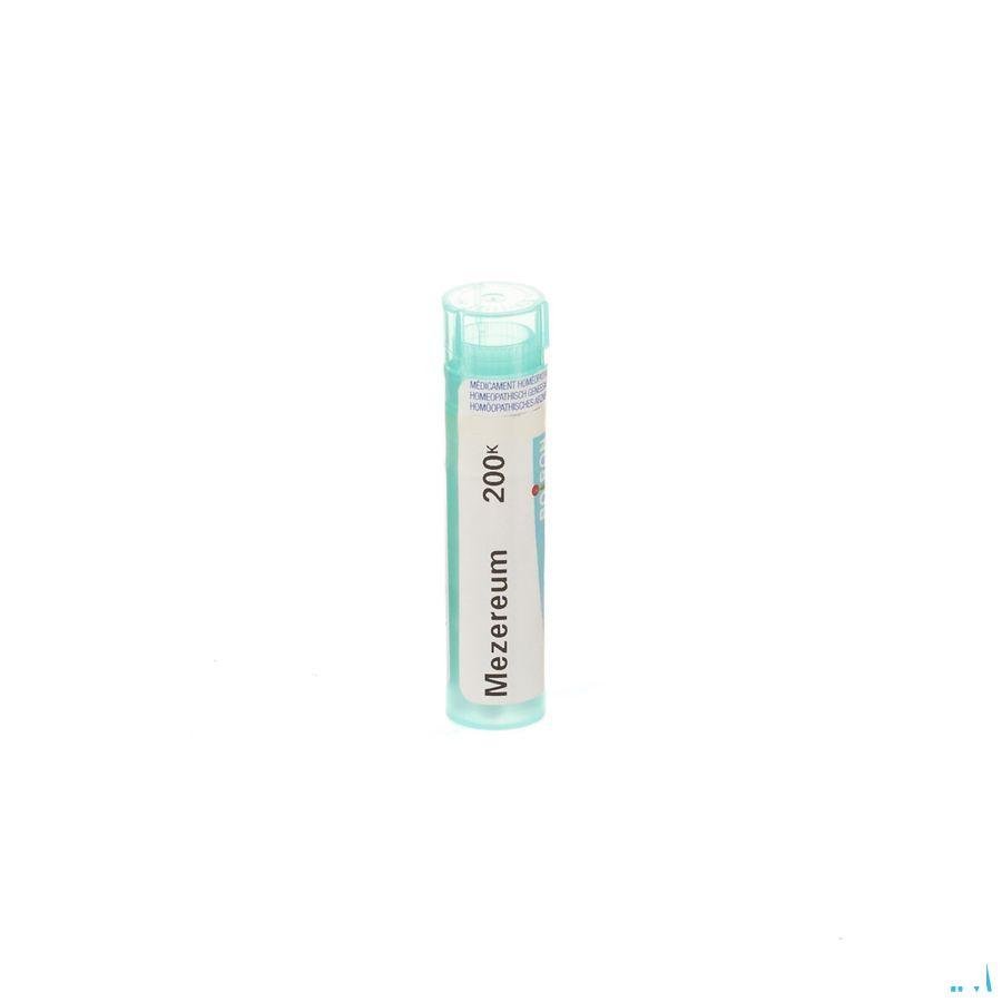 Mezereum 200K Gr 4g  -  Boiron