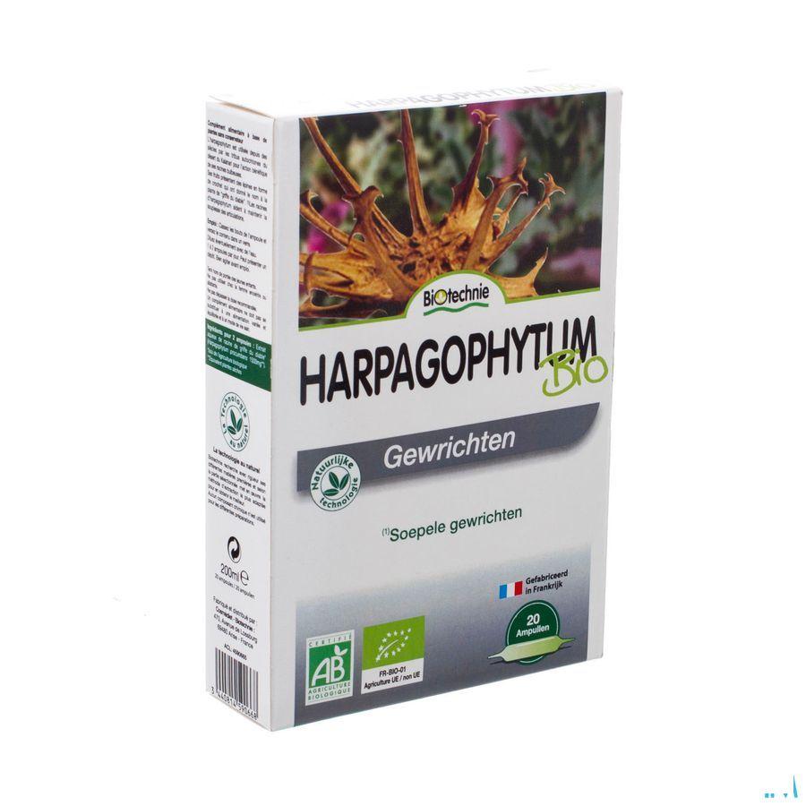 Harpagophytum Bio Ampullen 20x10 ml