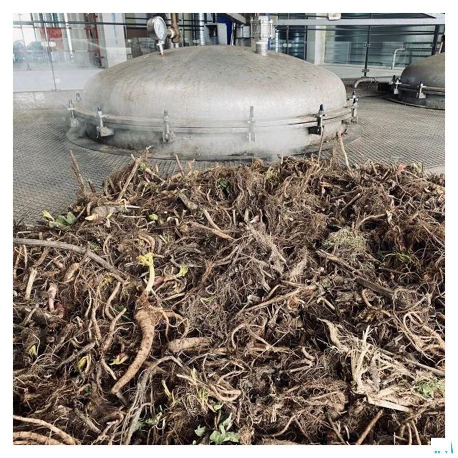 Angelique Bio Huile Essentielle 5 ml  -  Bioholistic Diffusion