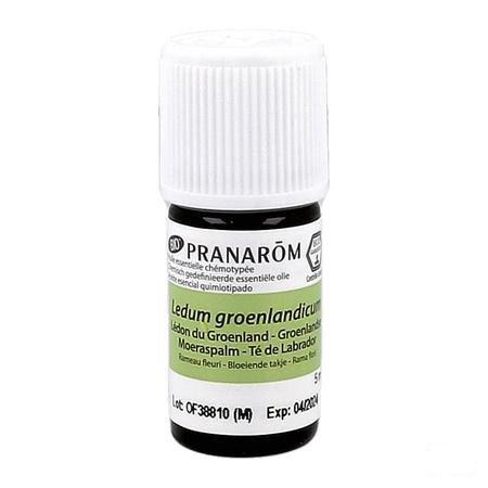 Ledon Groenland Bio Huile Essentielle 5 ml  -  Pranarom