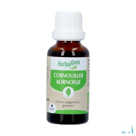 Herbalgem Cornouill Bio 30 ml
