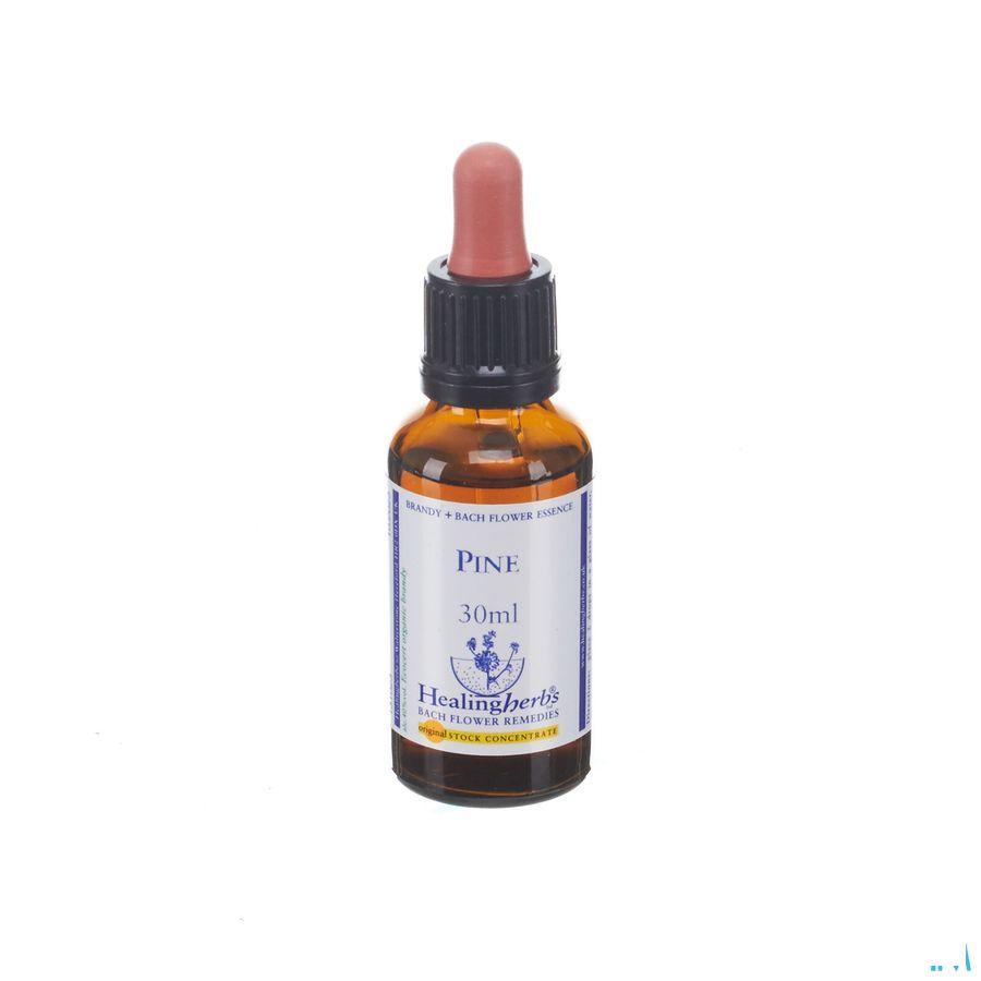 Healing Herbs Pine 30 ml