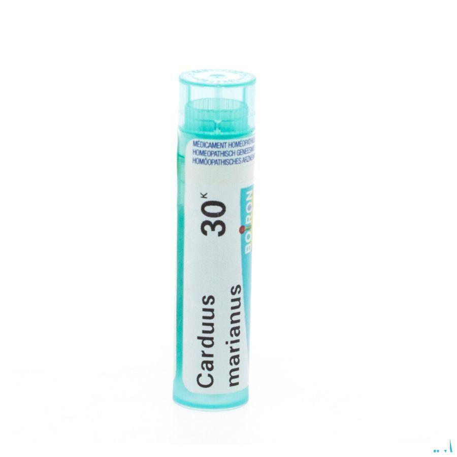Carduus Marianus 30K Gr 4g  -  Boiron