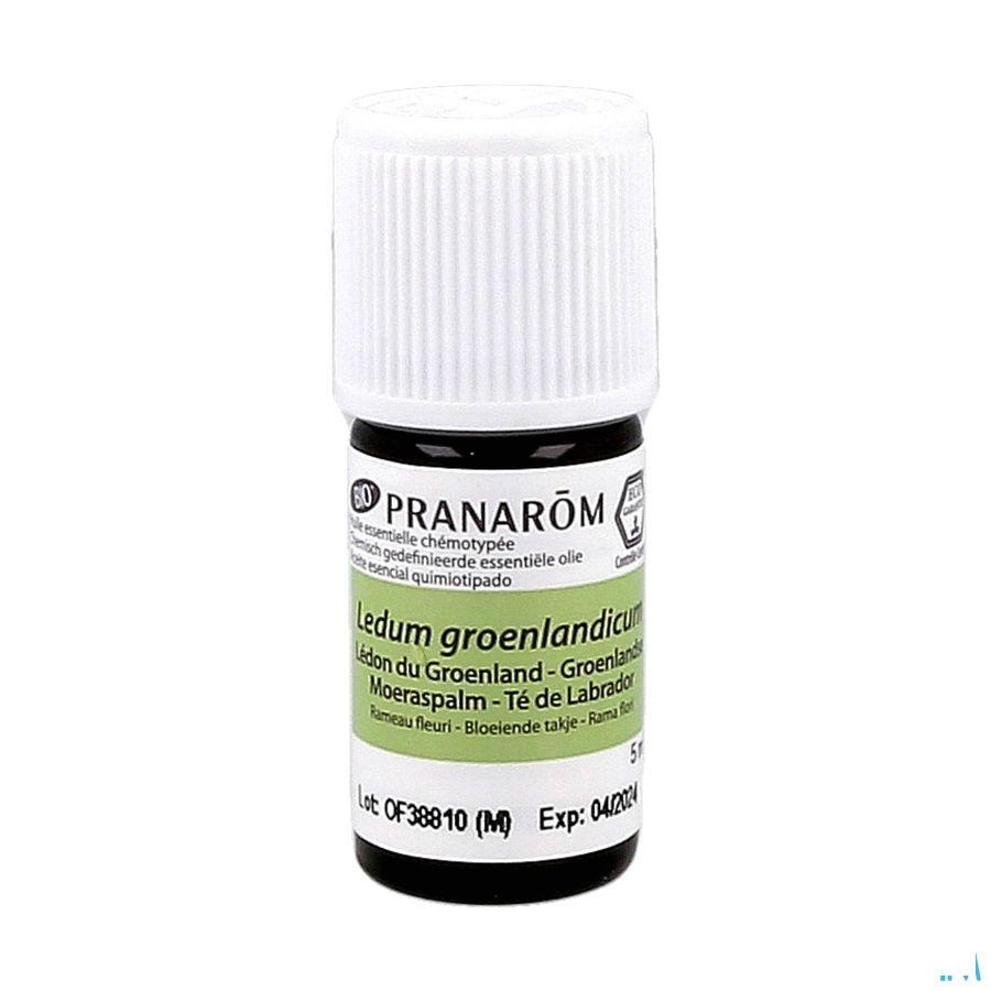 Ledon Groenland Bio Huile Essentielle 5 ml  -  Pranarom