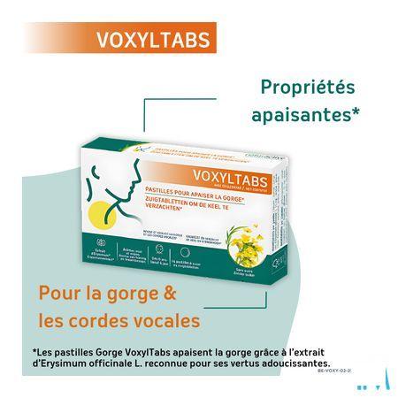 Voxyltabs Zuigtabletten 24 2663490