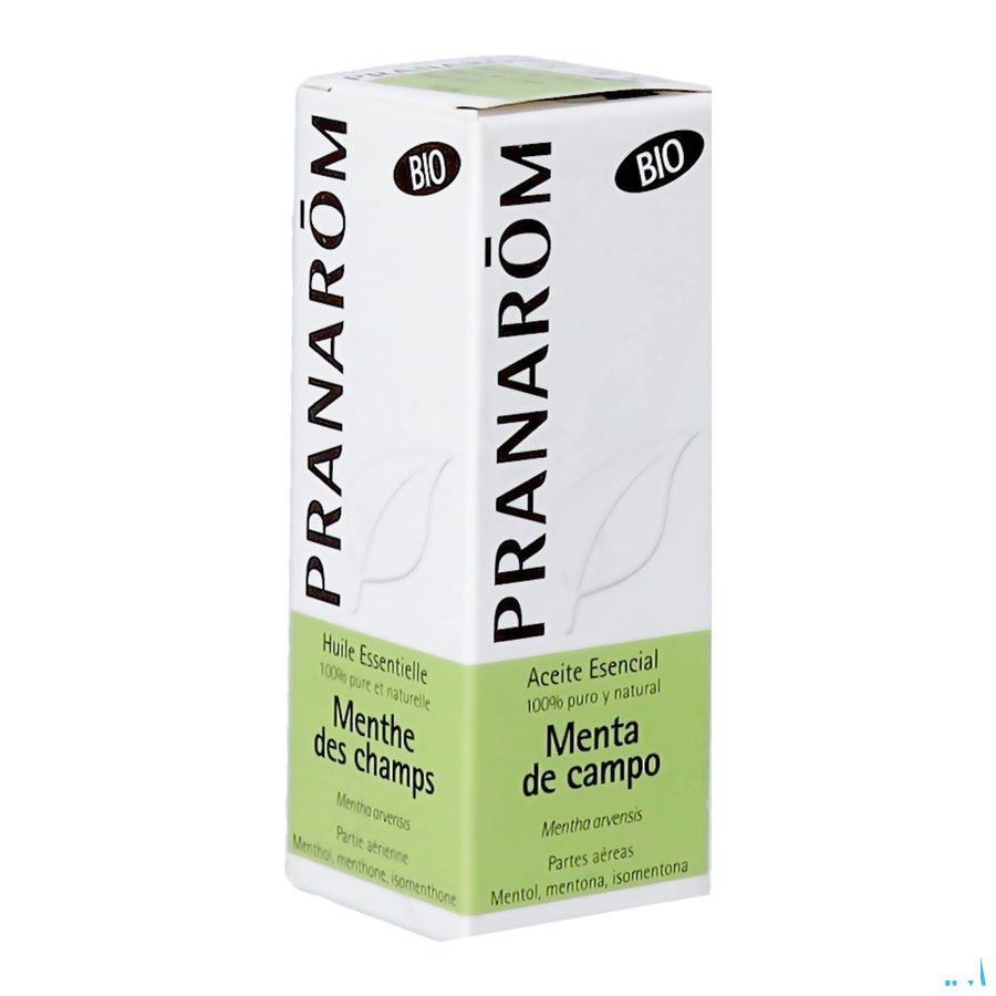 Munt Bio Essentiele Olie 10 ml  -  Pranarom