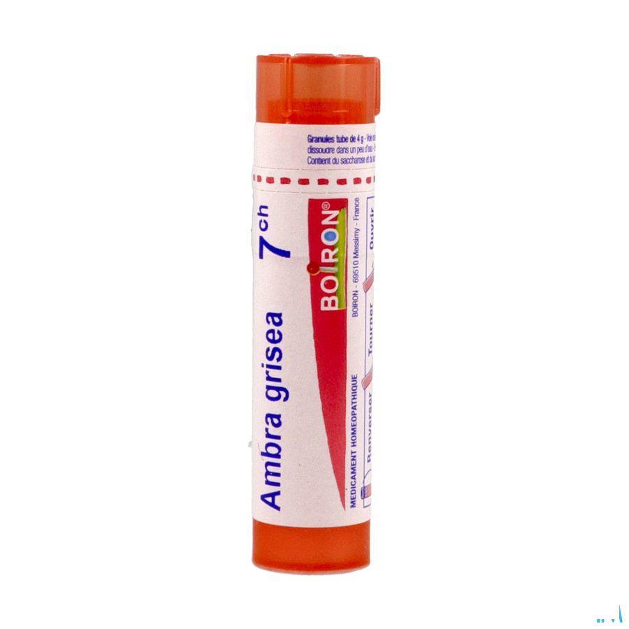 Ambra Grisea 7CH Gr 4g  -  Boiron