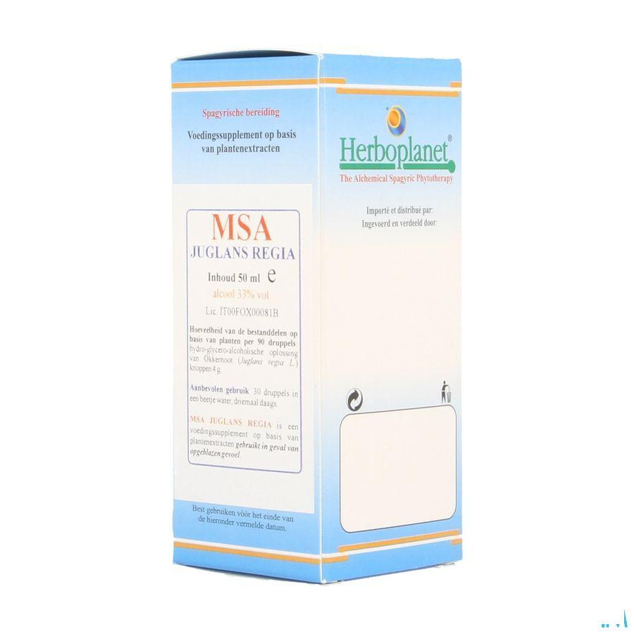 Juglans Regia Msa Maceraat Druppels 50 ml  -  Herboplanet