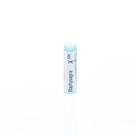 Staphysagria XMK Gl  -  Boiron