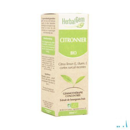 Herbalgem Citroenboom Maceraat 50 ml  -  Herbalgem
