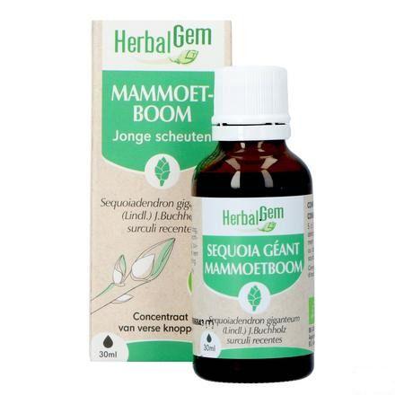 Herbalgem Mammoetboom Bio 30 ml