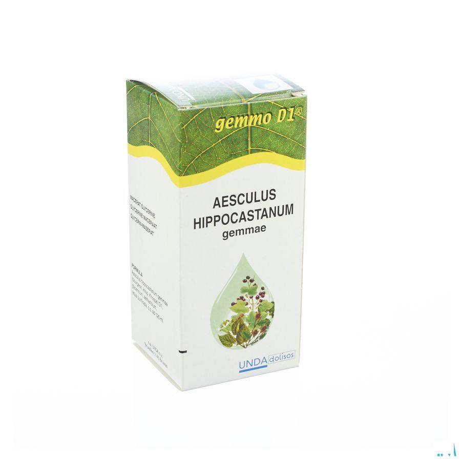 Aesculus Hippoc.gemmo D1 125 ml  -  Boiron