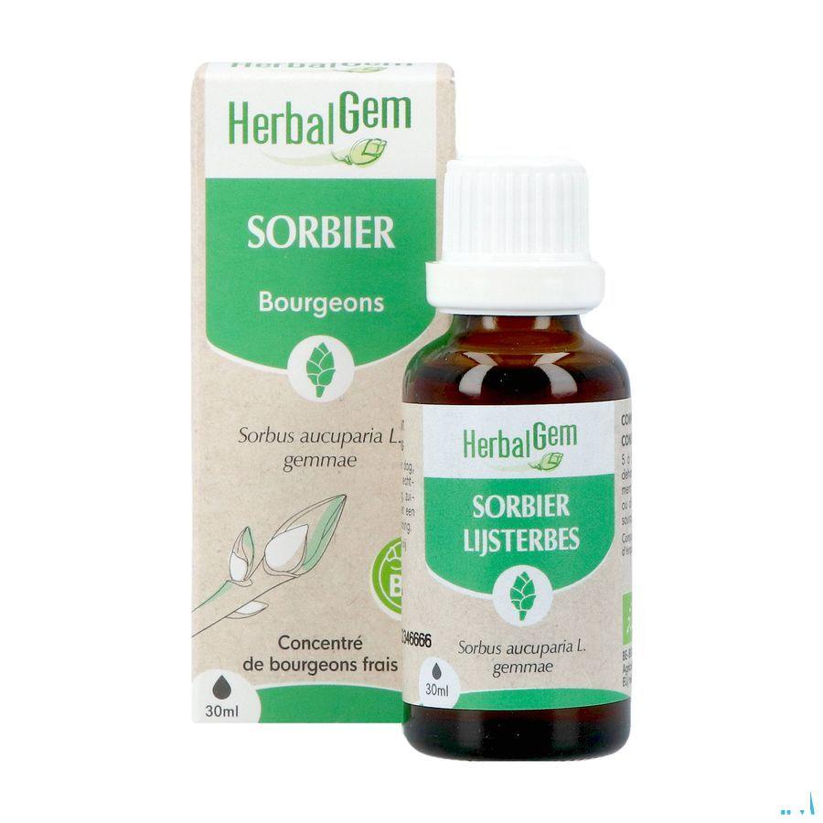 Herbalgem Lijsterbes Bio 30 ml