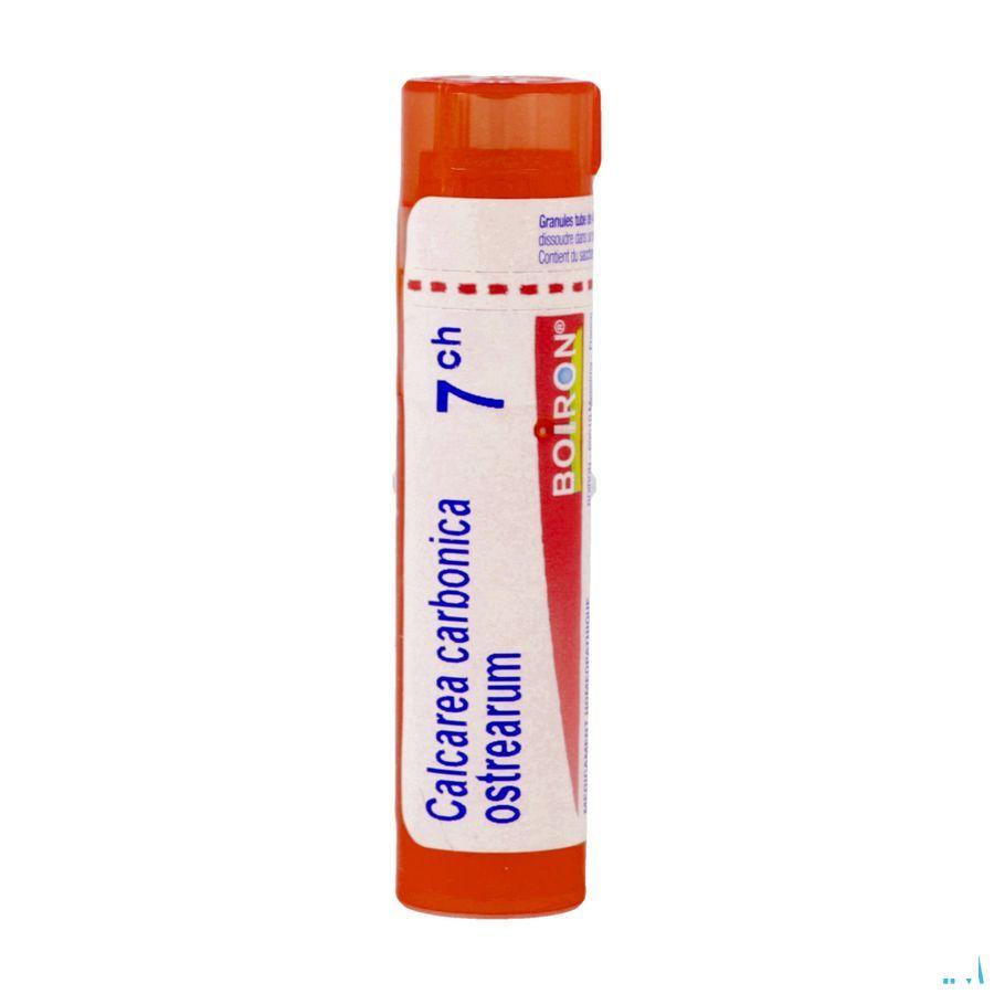 Calcarea Carbonica Ostrearum 7CH Gr 4g  -  Boiron