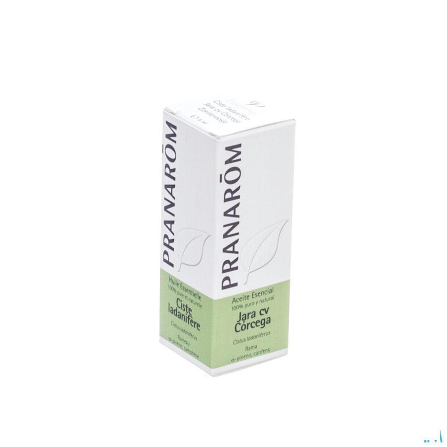 Ciste Ladanifere Essentiele Olie 5 ml  -  Pranarom