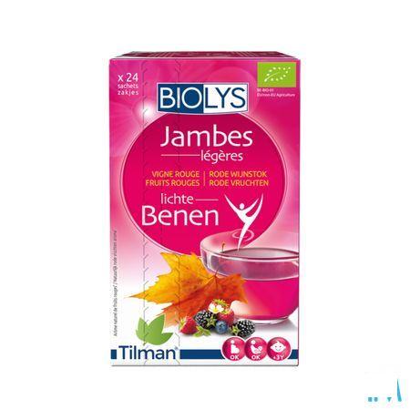 Biolys Rode Wijnstok Rode Vruchten Zakjes 24  -  Tilman