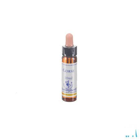 Healing Herbs Gorse 10 ml