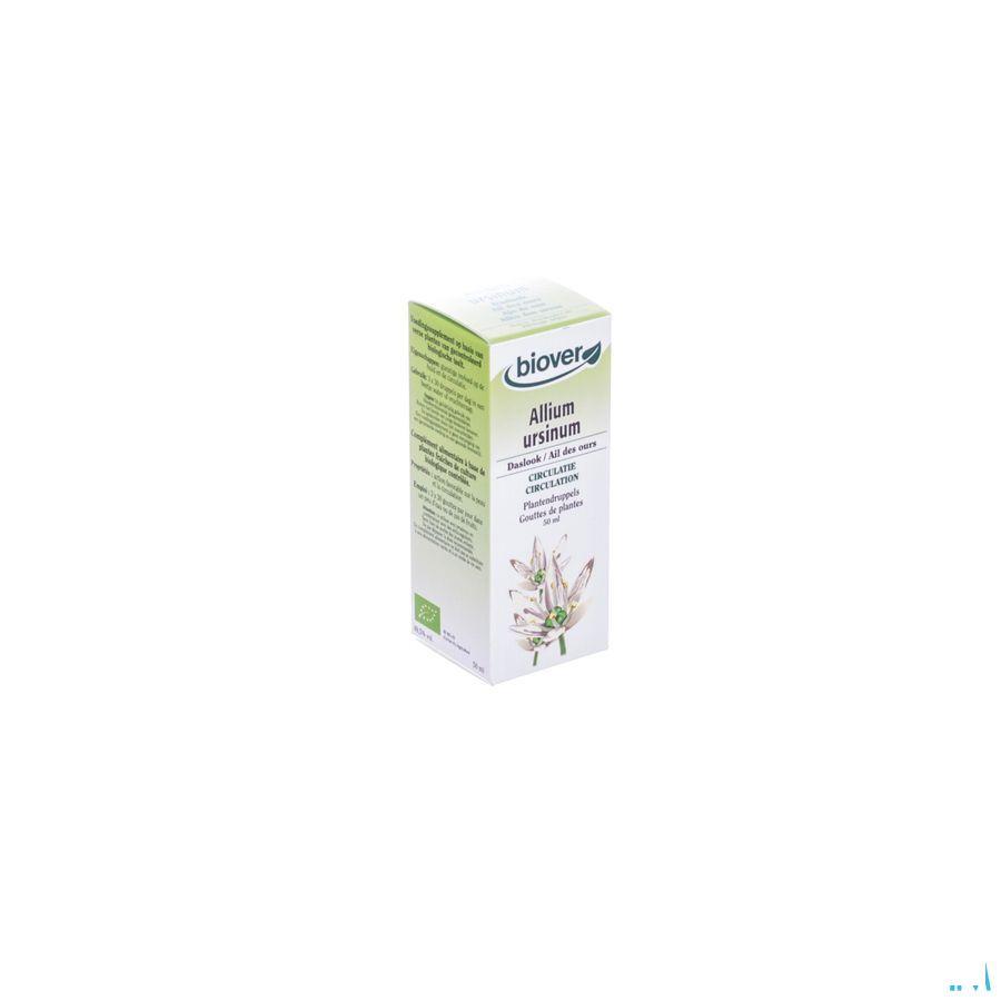 Ail Des Ours Teint Bio 50 ml   -  Ocebio