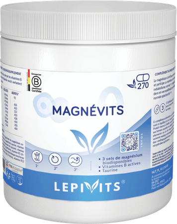 Lepivits Magnevits V-Caps 270  -  Lepivits