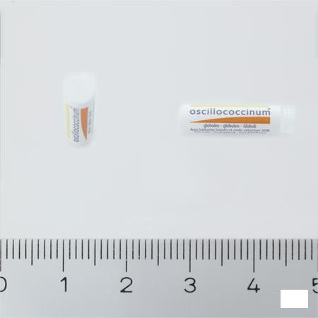 Oscillococcinum Doses 6 X 1 gr  -  Boiron